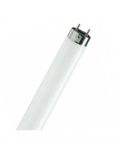 Lamp L-15w/765 cool daylight Osram