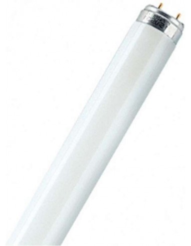 Lamp L-30w/765   230v