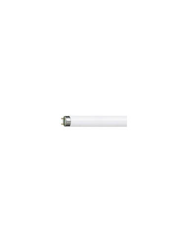 Lamp LB36w